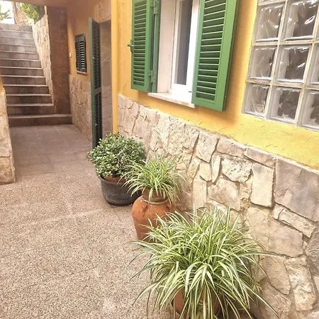 Sotio, In Campanet